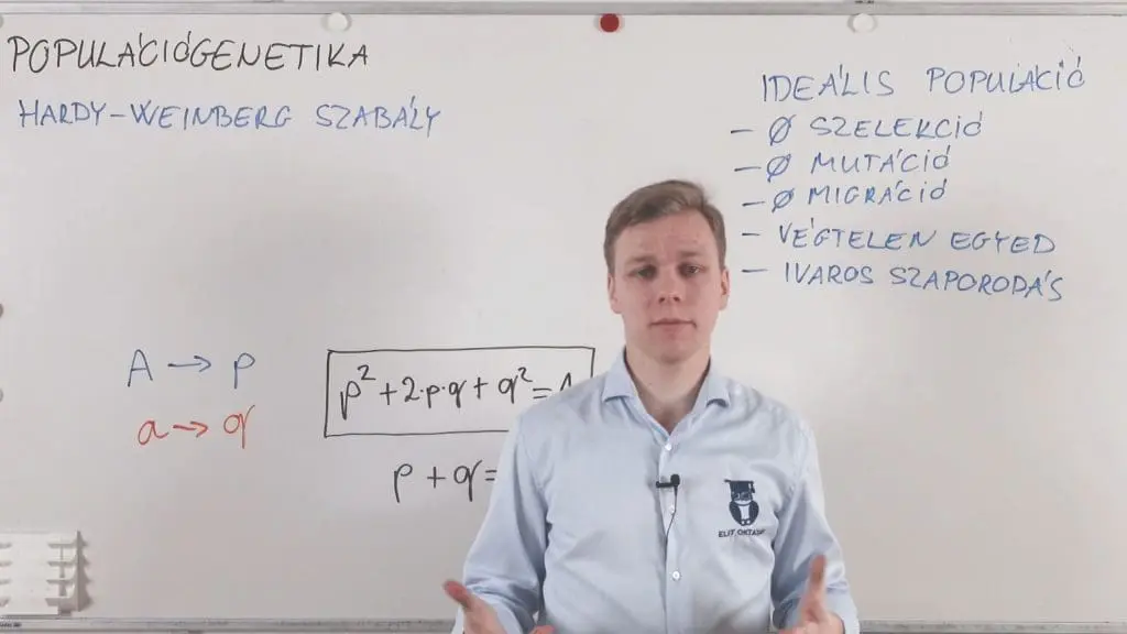 Populációgenetika - Hardy-Weinberg szabály - Genetika összefoglaló