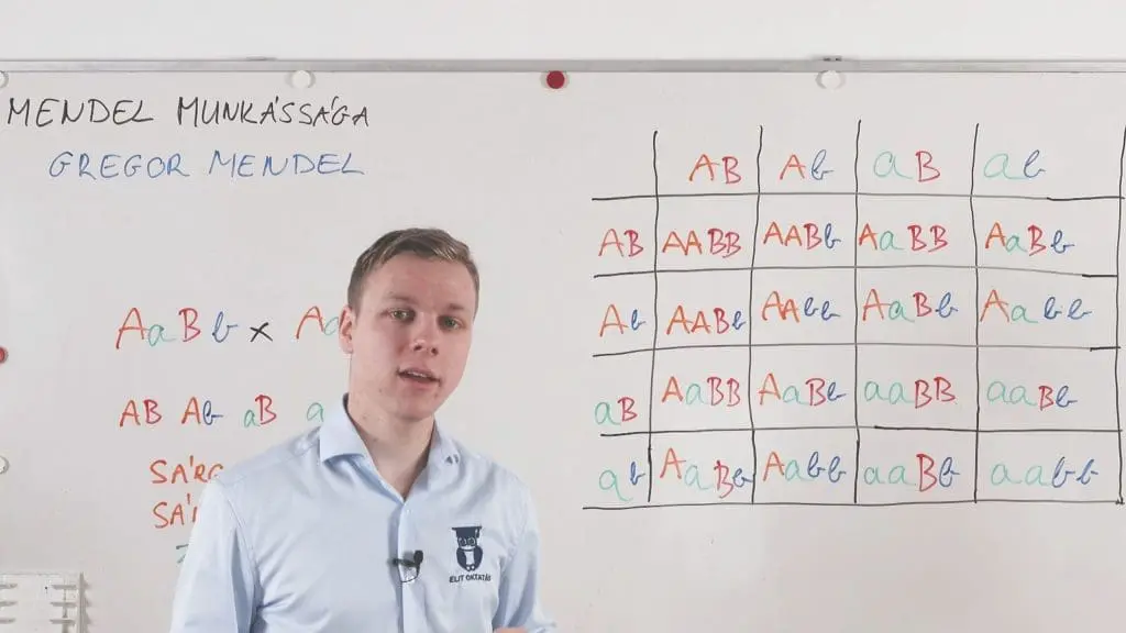 Gregor Mendel munkássága - Genetika összefoglaló