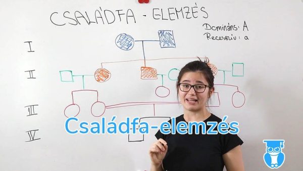családfa-elemzés blog