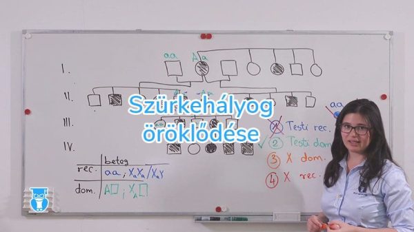 Szürkehályog öröklődése genetika emelt biológia érettségi