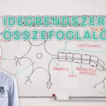 Idegrendszer-összefoglaló-borítókép