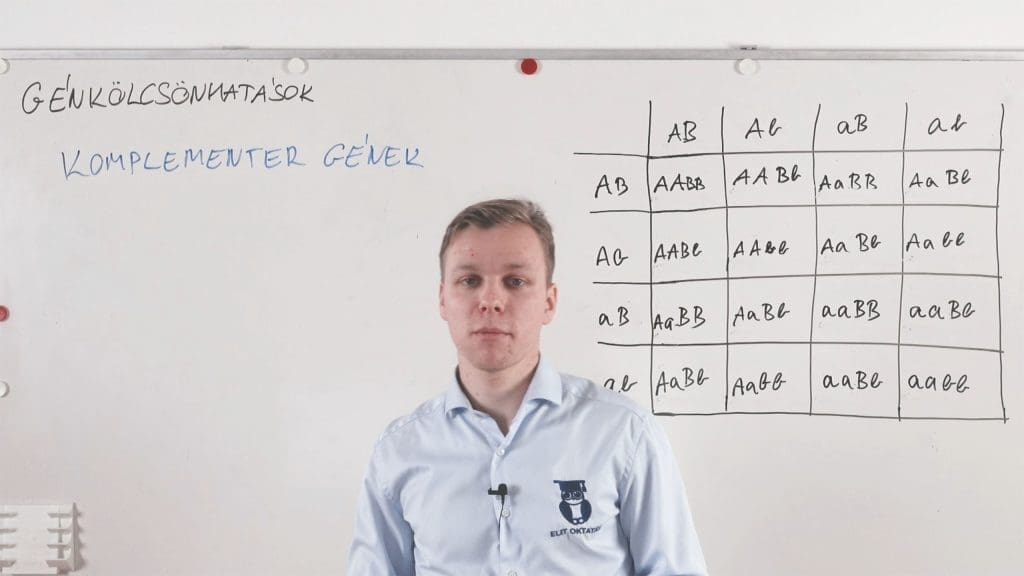 Génkölcsönhatások - Komplementer gének - Genetika összefoglaló