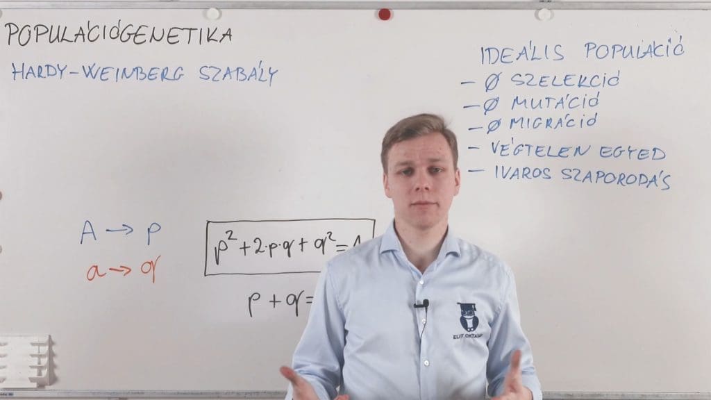 Populációgenetika - Hardy-Weinberg szabály - Genetika összefoglaló