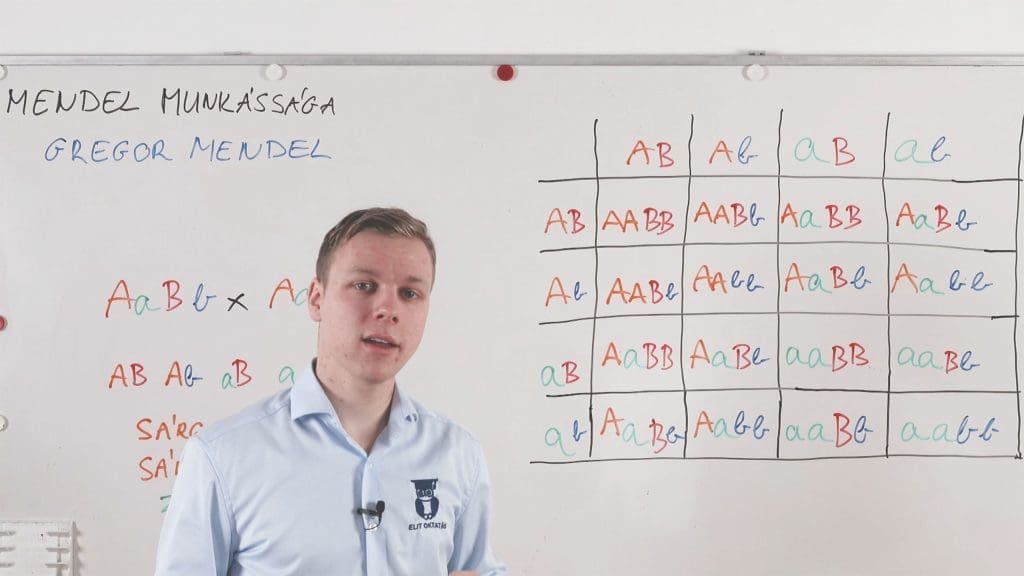 Gregor Mendel munkássága - Genetika összefoglaló